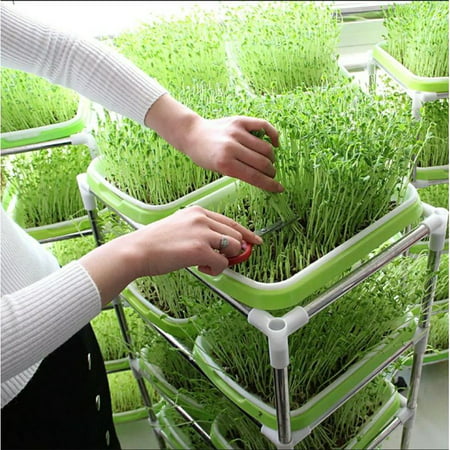 Microgreens Tray Hydroponic/germinating Tray For Bean Sprouts Green Second Layer